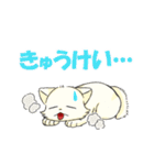 ころころこしば（個別スタンプ：27）