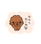 犬（トイプ）友達スタンプ（個別スタンプ：10）