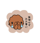 犬（トイプ）友達スタンプ（個別スタンプ：23）