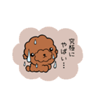 犬（トイプ）友達スタンプ（個別スタンプ：30）