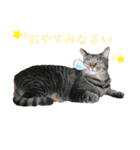 ☆れいさんスタンプ☆（個別スタンプ：4）