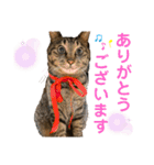 ☆れいさんスタンプ☆（個別スタンプ：12）