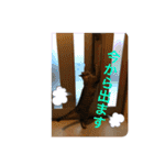 ☆れいさんスタンプ☆（個別スタンプ：15）