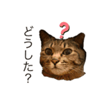 ☆れいさんスタンプ☆（個別スタンプ：21）
