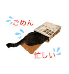 ☆れいさんスタンプ☆（個別スタンプ：24）