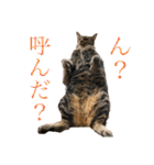 ☆れいさんスタンプ☆（個別スタンプ：25）