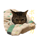 ☆れいさんスタンプ☆（個別スタンプ：27）