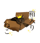 ☆れいさんスタンプ☆（個別スタンプ：30）