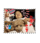 愛犬のルイ君（個別スタンプ：4）