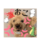 愛犬のルイ君（個別スタンプ：10）
