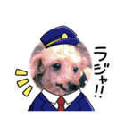 愛犬のルイ君（個別スタンプ：13）