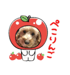愛犬のルイ君（個別スタンプ：14）