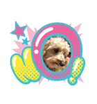 愛犬のルイ君（個別スタンプ：17）