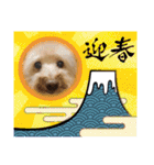 愛犬のルイ君（個別スタンプ：23）