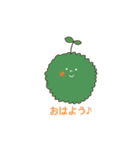 苔玉こけまるくんの日常（個別スタンプ：1）