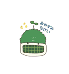 苔玉こけまるくんの日常（個別スタンプ：2）