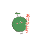 苔玉こけまるくんの日常（個別スタンプ：4）