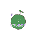 苔玉こけまるくんの日常（個別スタンプ：13）