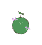 苔玉こけまるくんの日常（個別スタンプ：18）