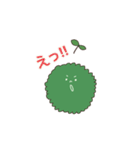 苔玉こけまるくんの日常（個別スタンプ：19）