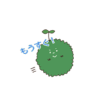 苔玉こけまるくんの日常（個別スタンプ：24）