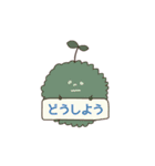 苔玉こけまるくんの日常（個別スタンプ：33）