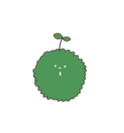 苔玉こけまるくんの日常（個別スタンプ：37）