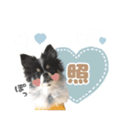 ポメラニアンのNoahくんです。（個別スタンプ：17）