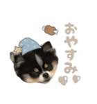 ポメラニアンのNoahくんです。（個別スタンプ：21）