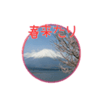 富士山☆Mount Fuji（個別スタンプ：7）