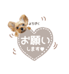 ぴのさんすたんぷ〜少し使いやすい〜（個別スタンプ：4）