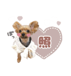 ぴのさんすたんぷ〜少し使いやすい〜（個別スタンプ：7）
