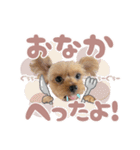 ぴのさんすたんぷ〜少し使いやすい〜（個別スタンプ：11）
