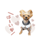 ぴのさんすたんぷ〜少し使いやすい〜（個別スタンプ：12）