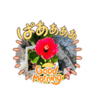 お花と空のほんわかスタンプ（個別スタンプ：1）