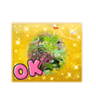 お花と空のほんわかスタンプ（個別スタンプ：4）