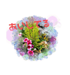 お花と空のほんわかスタンプ（個別スタンプ：10）