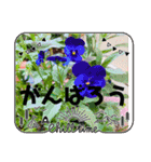 お花と空のほんわかスタンプ（個別スタンプ：14）