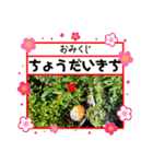 お花と空のほんわかスタンプ（個別スタンプ：15）