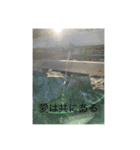 地球劇場4 水清き刻（個別スタンプ：6）