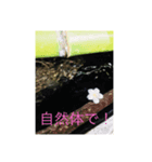 地球劇場4 水清き刻（個別スタンプ：8）