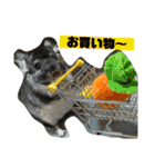 チンチラのふくちゃん♡（個別スタンプ：6）