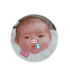 ずんぐりむっくり5（個別スタンプ：13）