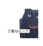 にゃんふく2（個別スタンプ：3）