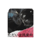 にゃんふく2（個別スタンプ：4）