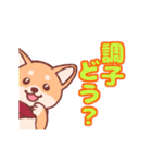 動く！モコふわ柴犬【冬】（個別スタンプ：13）