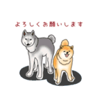 柴犬のお餅（個別スタンプ：9）