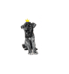 ソル語（個別スタンプ：1）