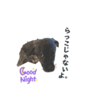 ソル語（個別スタンプ：5）