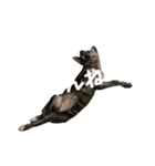 ソル語（個別スタンプ：6）